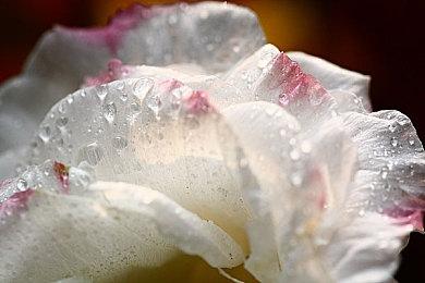 《明末：渊虚之羽》新图 女主无常远眺神秘村落